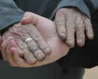 2010 – A szegénység és a társadalmi kirekesztettség elleni harc éve